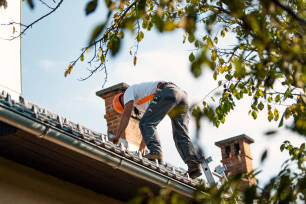 Best Roof Gutter Cleaning  in Shelby, MS