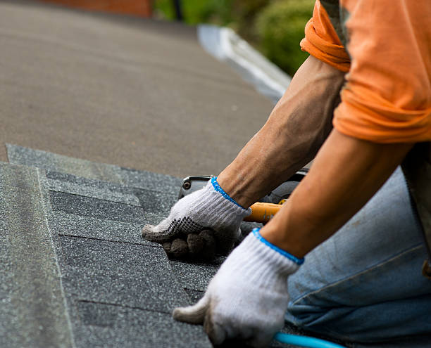 Reliable Shelby, MS Roofing Contractor Solutions